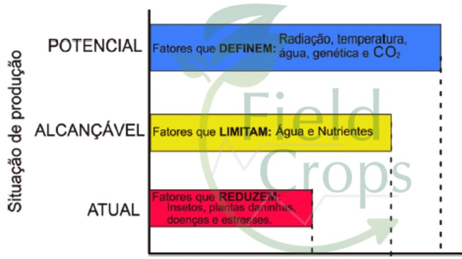 Fatores que impactam a produtividade