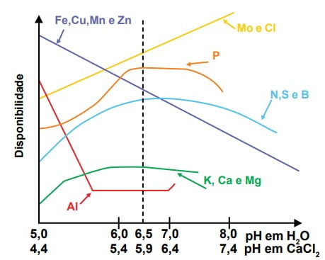 Relação entre pH e disponibilidade de nutrientes no solo