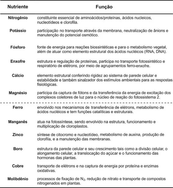 Macro e Micro nutrientes essenciais para as plantas